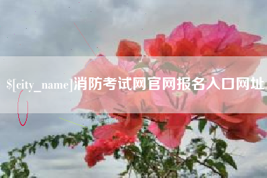 平邑消防考试网官网报名入口网址