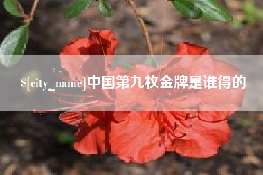 平邑中国第九枚金牌是谁得的