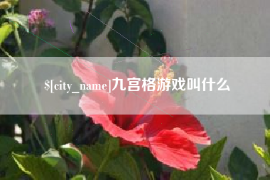 平邑九宫格游戏叫什么