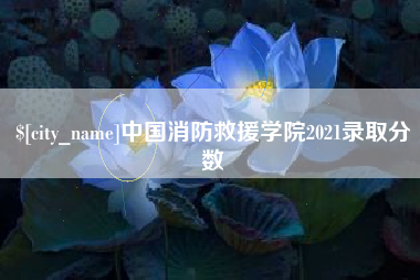 平邑中国消防救援学院2021录取分数