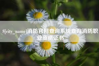 平邑消防官网查询系统查询消防职业资格证书