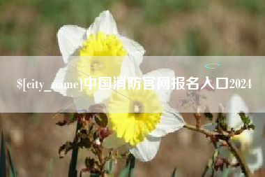 平邑中国消防官网报名入口2024