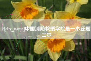 平邑中国消防救援学院是一本还是二本