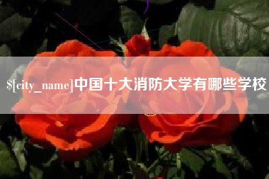 平邑中国十大消防大学有哪些学校
