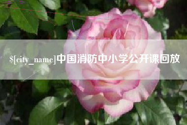 平邑中国消防中小学公开课回放