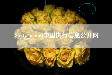 平邑中国执行信息公开网