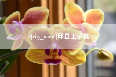 平邑邱县王子磊