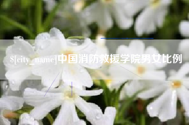 平邑中国消防救援学院男女比例