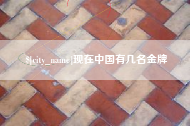 平邑现在中国有几名金牌