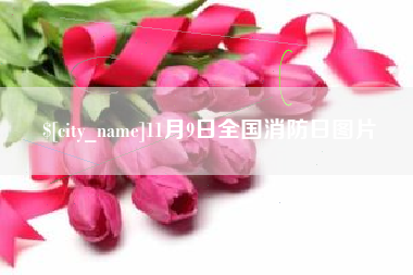 平邑11月9日全国消防日图片
