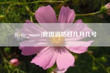 平邑我国消防日几月几号