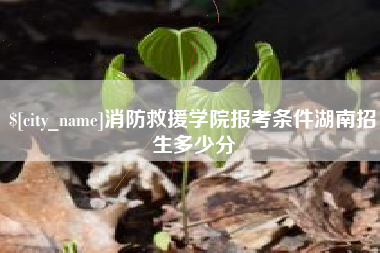 平邑消防救援学院报考条件湖南招生多少分