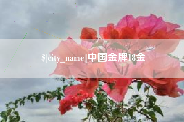 平邑中国金牌18金