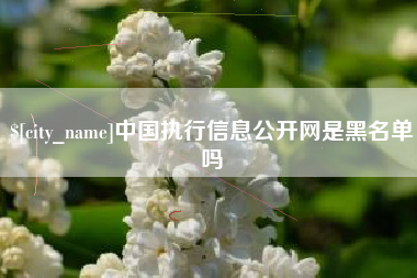平邑中国执行信息公开网是黑名单吗