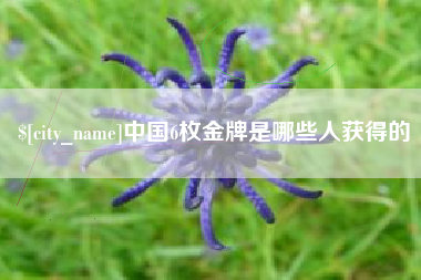 平邑中国6枚金牌是哪些人获得的