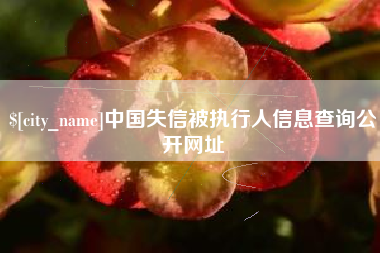 平邑中国失信被执行人信息查询公开网址