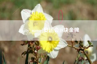 平邑奥运会39块金牌