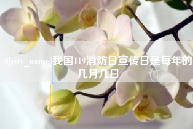 平邑我国119消防日宣传日是每年的几月几日