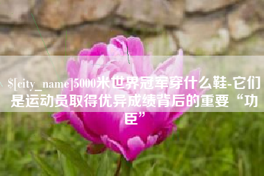 平邑5000米世界冠军穿什么鞋-它们是运动员取得优异成绩背后的重要“功臣”