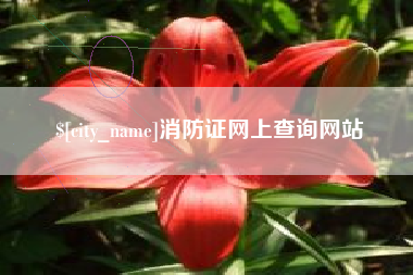 平邑消防证网上查询网站