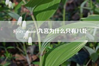 平邑九宫为什么只有八卦