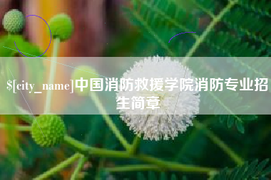 平邑中国消防救援学院消防专业招生简章