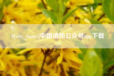 平邑中国消防公众号app下载