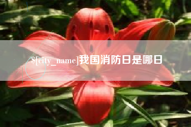 平邑我国消防日是哪日