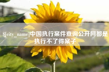 平邑中国执行案件查询公开网都是执行不了得案子