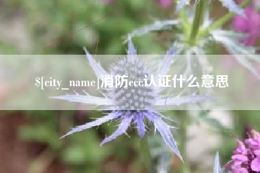 平邑消防ccc认证什么意思