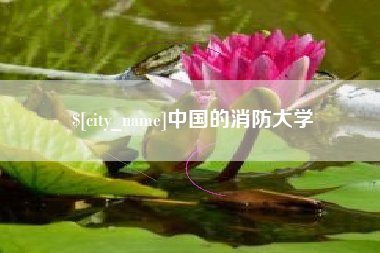 平邑中国的消防大学