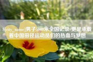 平邑男子5000米全国记录-更是承载着中国田径运动员们的热血与梦想