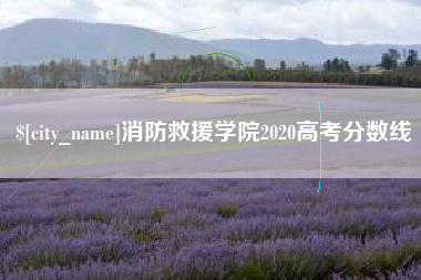 平邑消防救援学院2020高考分数线