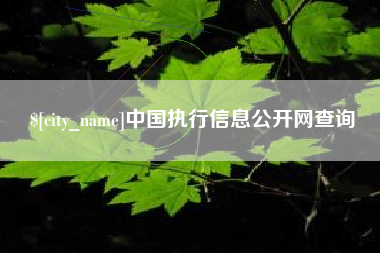 平邑中国执行信息公开网查询