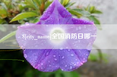 平邑全国消防日哪一