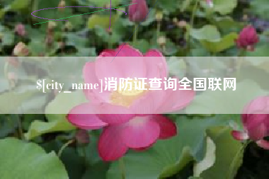 平邑消防证查询全国联网