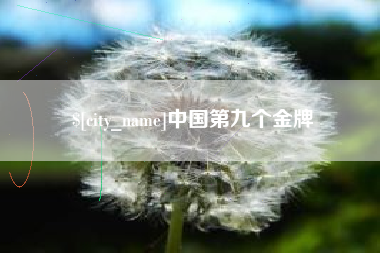 平邑中国第九个金牌