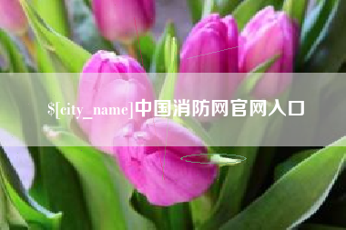 平邑中国消防网官网入口