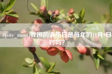 平邑我国的消防日是每年的11月9日对吗？