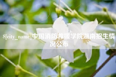 平邑中国消防救援学院湖南招生情况公布
