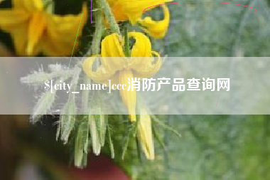 平邑ccc消防产品查询网