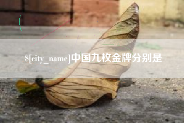平邑中国九枚金牌分别是
