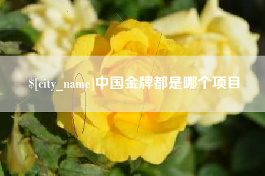 平邑中国金牌都是哪个项目