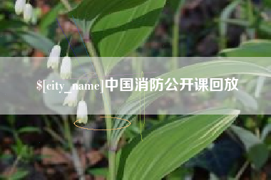 平邑中国消防公开课回放
