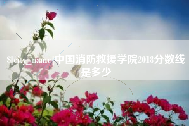 平邑中国消防救援学院2018分数线是多少