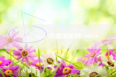 平邑中国消防网1190119