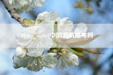平邑中国消防报考网
