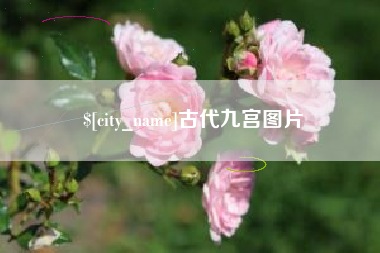 平邑古代九宫图片