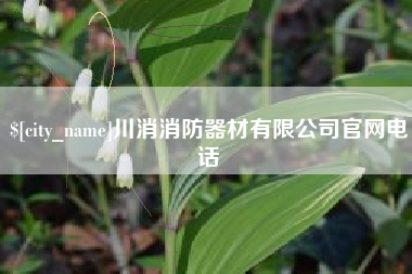 平邑川消消防器材有限公司官网电话