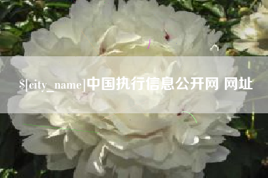 平邑中国执行信息公开网 网址